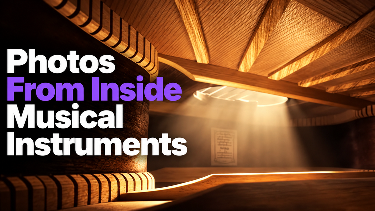 Photos From Inside Musical Instruments