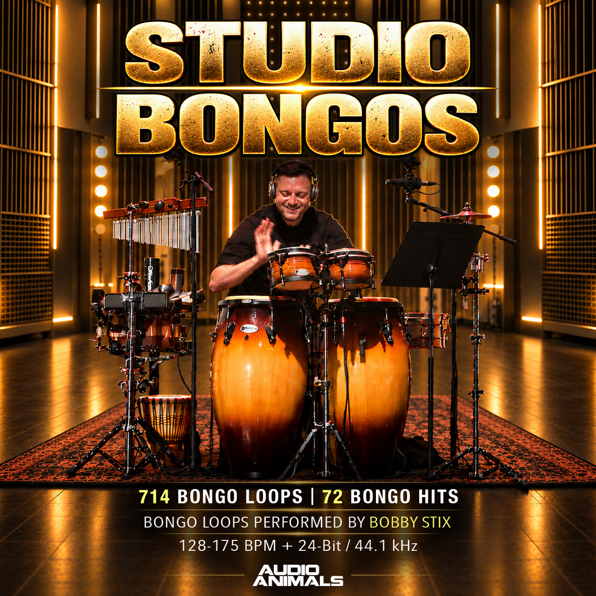Studio Bongos